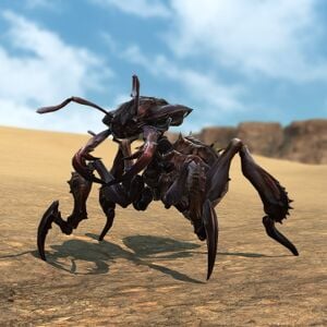 Antling