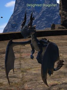 Delighted Dragonet
