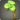 Green morning glory corsage icon1.png