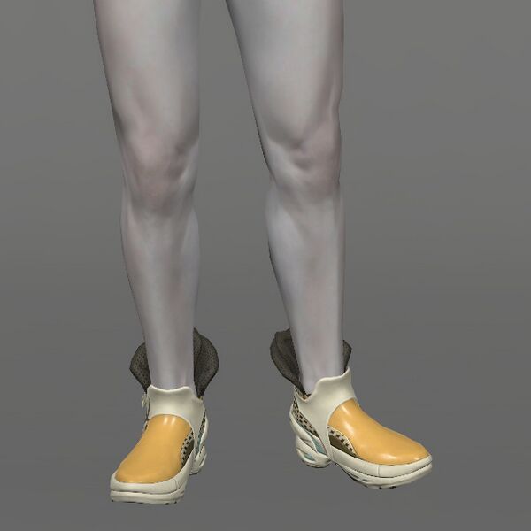 File:Neo Citizen's Shoes Male.jpeg