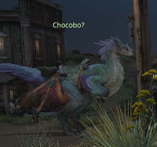 Chocobo?