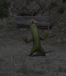 Flowering Sabotender