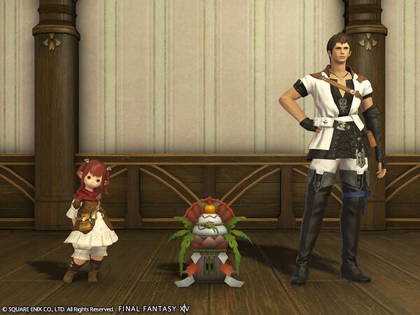 Jumbo Hard Rice Cakes - Final Fantasy XIV Online Wiki - FFXIV / FF14 ...