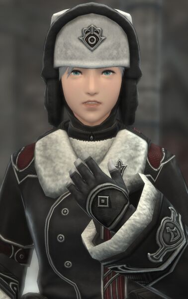 File:3rd Legion Decurion.jpg