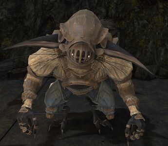 789th Order Acolyte Ba Go