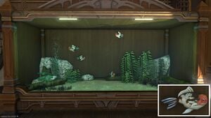 Four Handy Hamsas in Tier 4 Aquarium with a close-up.