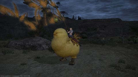 fat chocobo plush ffxiv