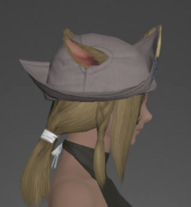 Felt Cavalier's Hat right side.png