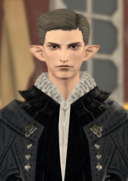 File:House Fortemps Manservant.jpg
