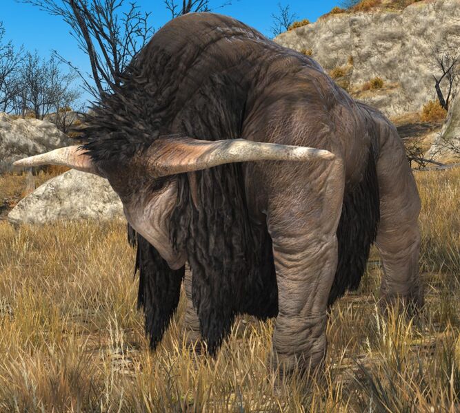 File:Rabid Aurochs.jpg