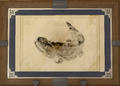 Thumbnail for version as of 19:02, 12 May 2026