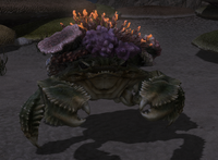 Coralshell Enemy.png