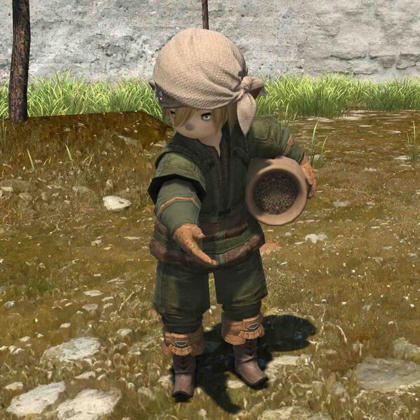 File:Durium Falurim.jpeg