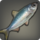 Saltwater fish icon1.png