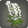 White lupin corsage icon1.png