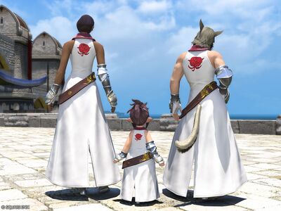 Battlefield Rose's Attire - Final Fantasy XIV Online Wiki - FFXIV ...