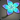 Indigo Gardenia Flower