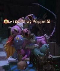 Stray Poppet.jpg