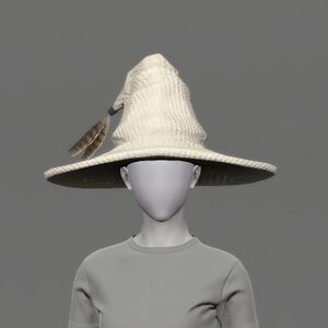 Aetherial Woolen Hat