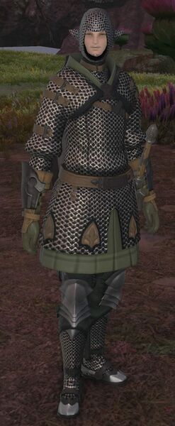 File:House Haillenarte Squire.jpg