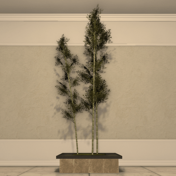 File:Bamboo Planter.png