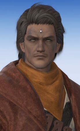 Portrait for Post-Stormblood appaerance
