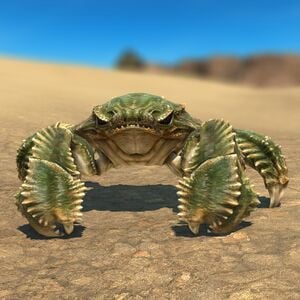 Megalocrab