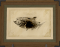 Thumbnail for version as of 15:43, 10 May 2026