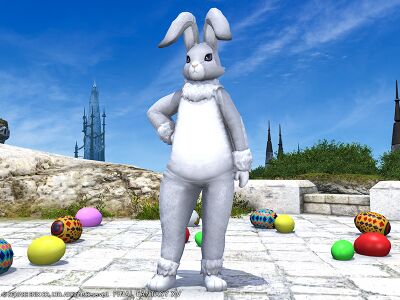 Rabbit suit img2.jpg