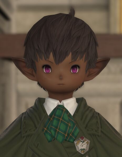 File:Excitable Student.jpg