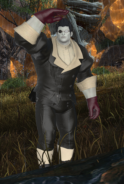 File:Alisaie's Assistant.png