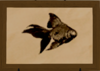 Copperfish print.png