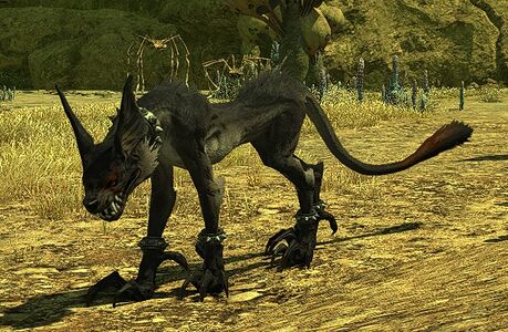 4th Cohort War Hound