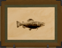 Warmwater Trout print.png