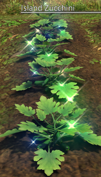 File:Island Zucchini Mature.png