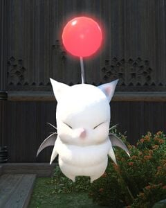 Kupopo