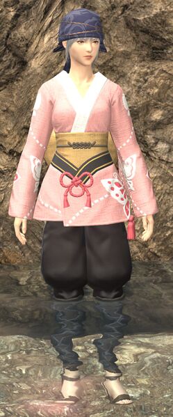 File:Busy Beachcomber fullbody.jpg