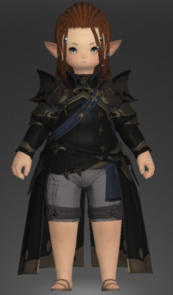 File:Chivalric Coat of Fending 1.png