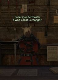 Collar quartermaster.jpg