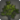 Shroud broadleaf icon1.png