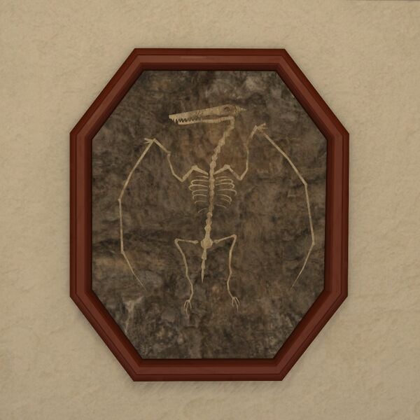 File:Winged Scalekin Fossil.jpeg