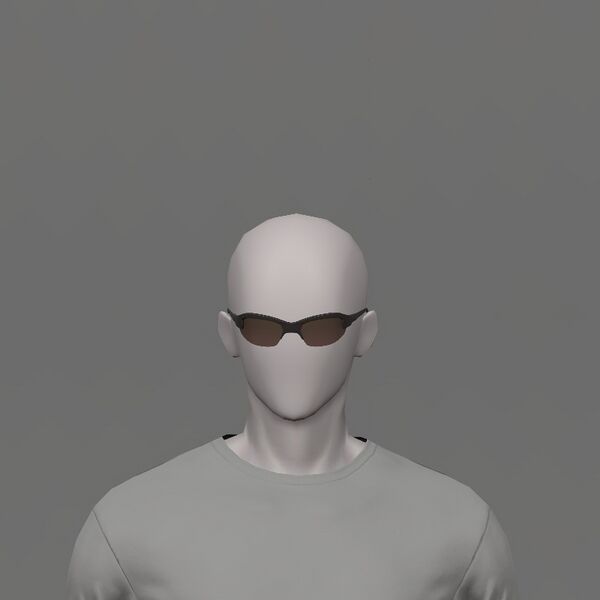 File:Avalanche Leader's Sunglasses Male.jpeg