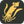 Squid