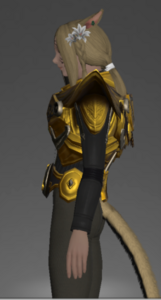 Tarnished Body of the Golden Wolf side.png