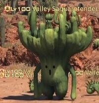 Valley Saguarotender.jpg