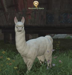 Absconding Alpaca