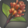 Favor of fanow icon1.png
