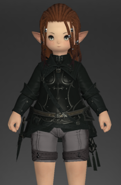 File:Gajaskin Jacket of Aiming 1.png