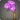 Purple morning glory corsage icon1.png