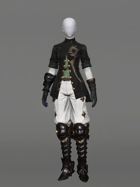 File:Realm-roamer's Attire Female.jpeg